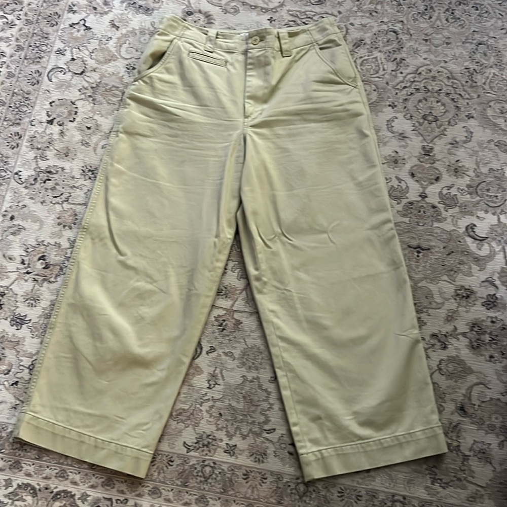 Madewell Woman’s Jean Capri
